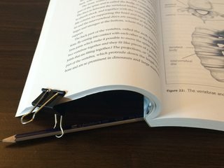 Pages clipped and clip held by pencil